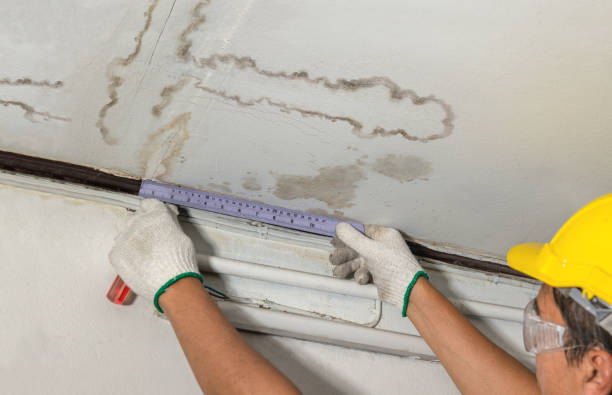 Reliable Basement Water Removal contractor in Blue Springs, MO by Water Damage Irwin
